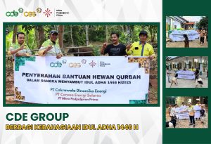 DESIGN-WEBSITE-CDE-GROUP